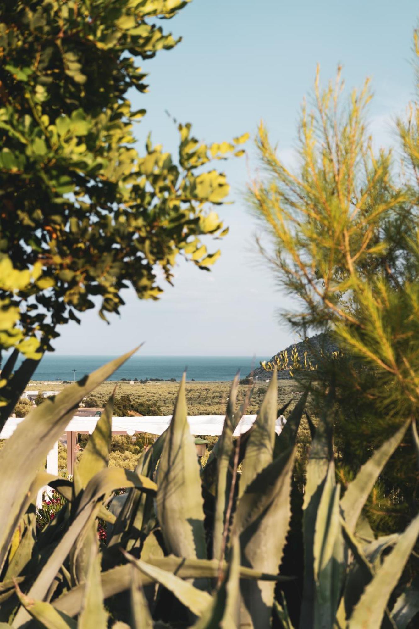 Agriturismo Giorgio Mattinata Εξωτερικό φωτογραφία