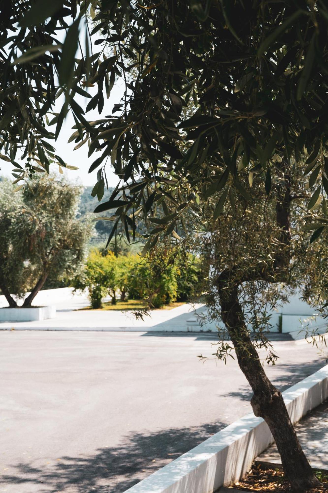Agriturismo Giorgio Mattinata Εξωτερικό φωτογραφία