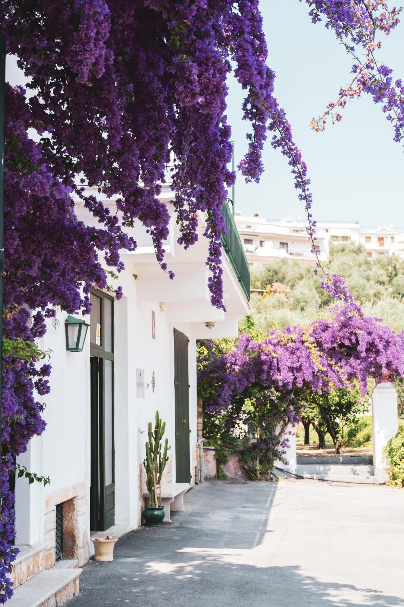 Agriturismo Giorgio Mattinata Εξωτερικό φωτογραφία